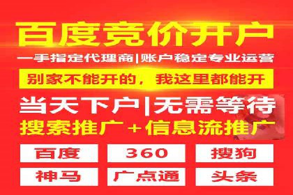SEM托管公司案例：优化与增长