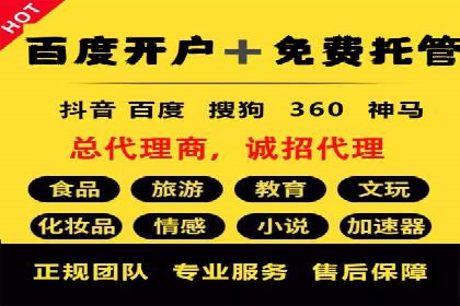 案例分享：SEM推广助力电商快速崛起